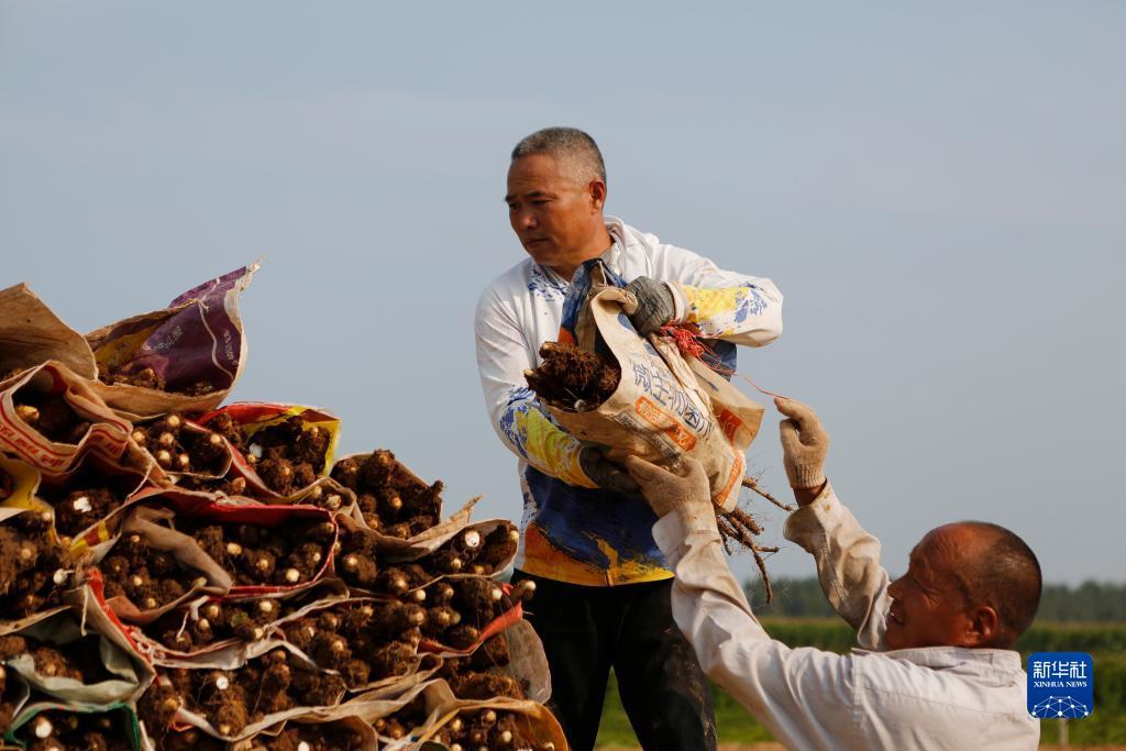 捕鱼王游戏技巧